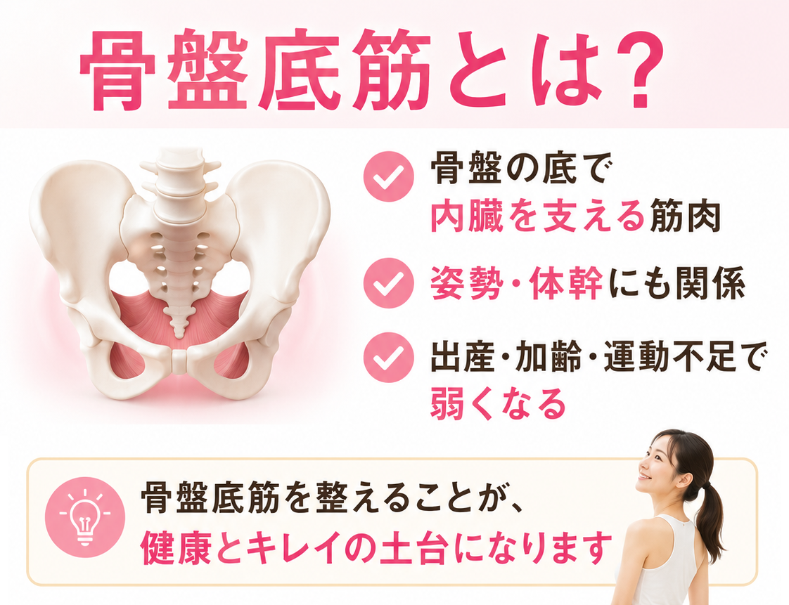 骨盤の最下部でハンモックのように広がり、膀胱や子宮などの大切な内臓を正しい位置で支えながら排泄のコントロールを担っている重要な骨盤底筋群の仕組みを説明するイメージ画像です。