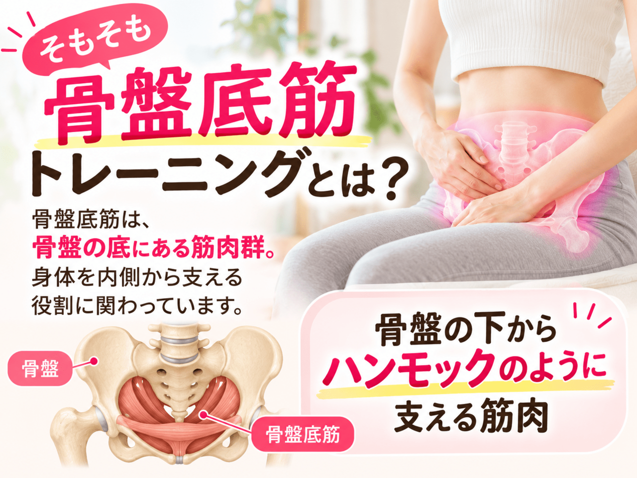 骨盤の底部で子宮や膀胱をハンモック状に下から支えている骨盤底筋群の図解