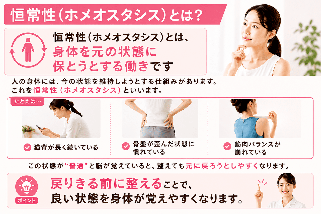 恒常性（ホメオスタシス）の仕組みと、身体が元の歪んだ状態に戻る前に施術を重ねて整える大切さを解説した画像