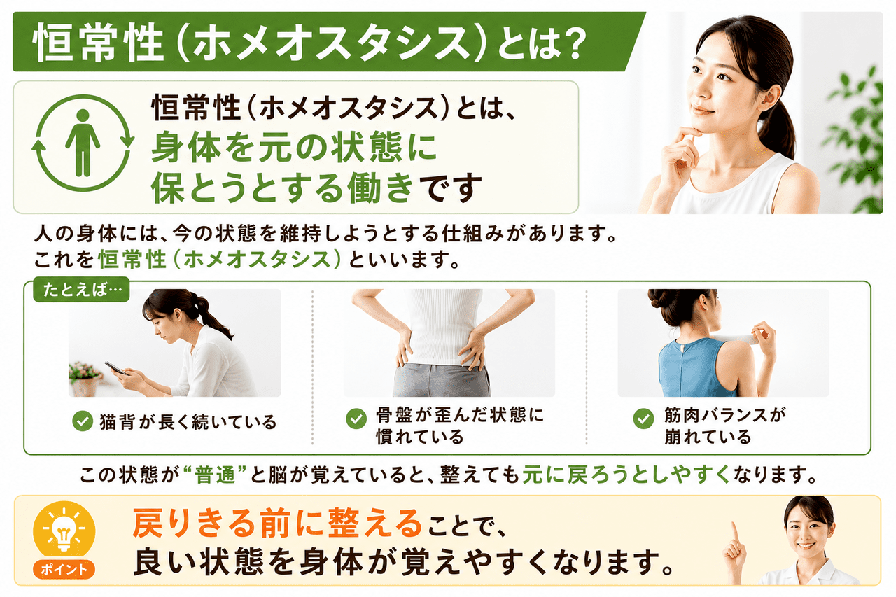 整体院で正しい位置に整えた骨盤を元の歪んだ状態へと引き戻そうとする身体の仕組みである恒常性（ホメオスタシス）を説明する、新小倉カイロプラクティック整体院の図解イメージ