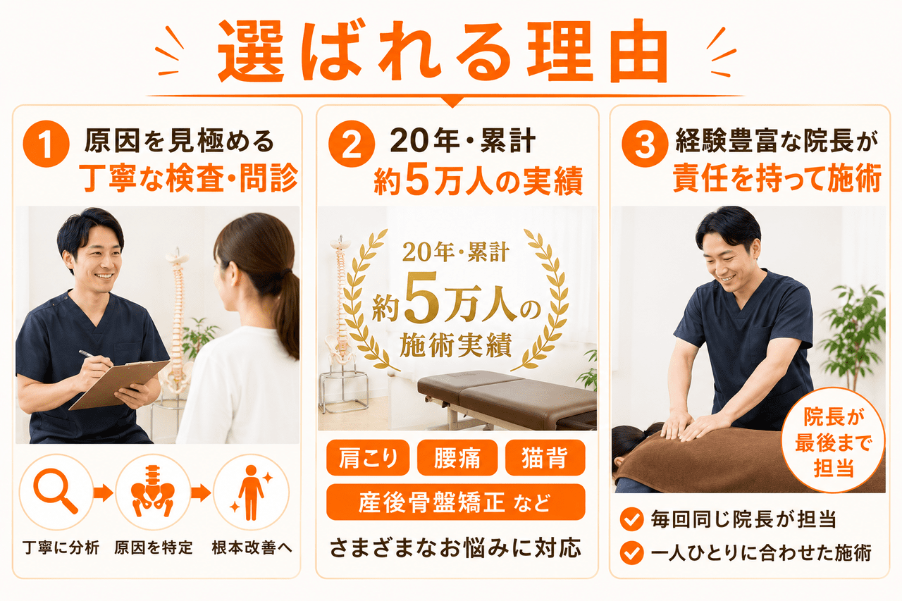 プロも認める確かなカイロプラクティック技術と、丁寧なカウンセリングで選ばれる小倉南区の整体院の解説図