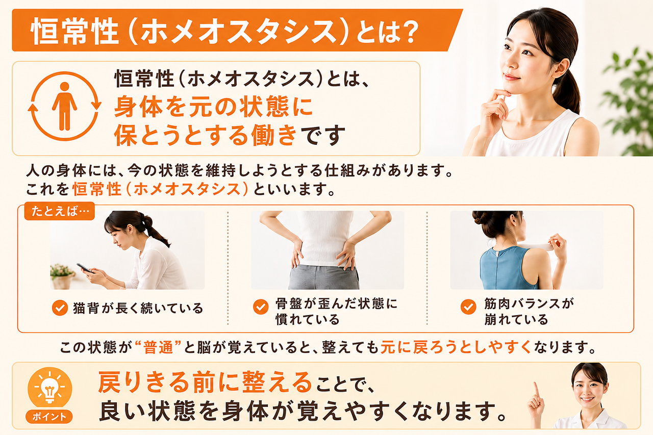 恒常性（ホメオスタシス）の仕組みと、身体が元の歪んだ状態に戻る前に施術を重ねて整える大切さを解説した画像