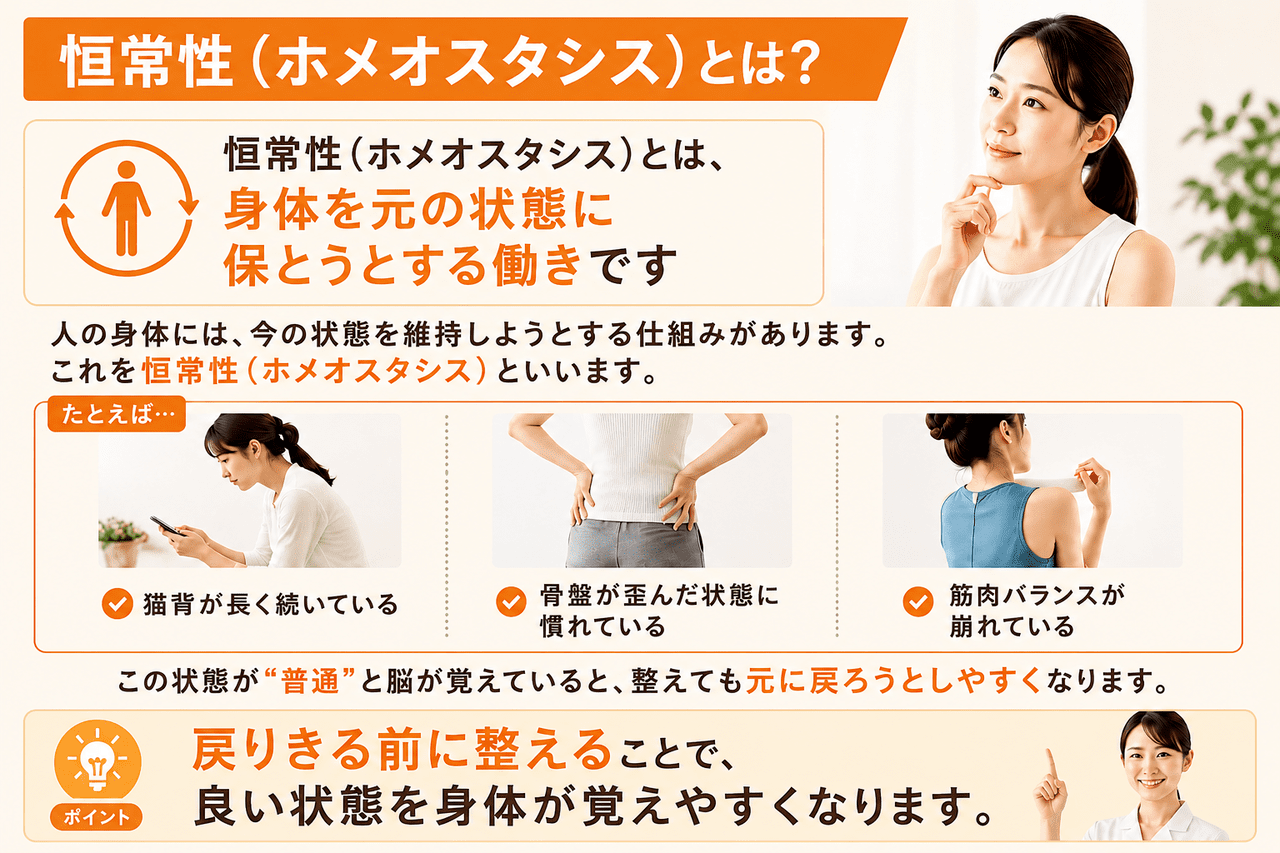 恒常性（ホメオスタシス）の仕組みと、身体が元の歪んだ状態に戻る前に施術を重ねて整える大切さを解説した画像