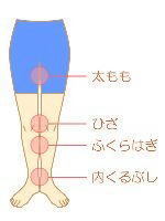 O・X脚矯正 O脚チェック - 小倉南区守恒で人気の骨盤矯正専門店